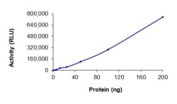 Sino Biological&nbsp;Recombinant Human ADCK5 Protein (GST Tag), Active