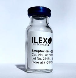 ILEX LIFE SCIENCES LLC Ilex Life Sciences Streptavidin, E. coli Recombinant