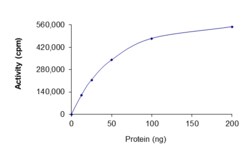 Sino Biological&nbsp;Recombinant Human AKT3 Protein (Full Length, E17K, GST Tag), Active