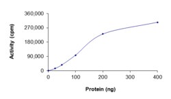 Sino Biological&nbsp;Recombinant Human ALK Protein (F1174S, GST Tag), Active