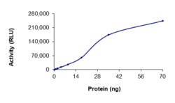 Sino Biological&nbsp;Recombinant Human ALK Protein (T1151_L1152insT, GST Tag), Active