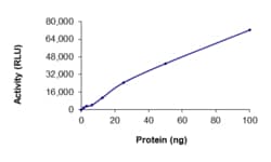 Sino Biological&nbsp;Recombinant Human EML4 & ALK Protein (GST Tag), Active