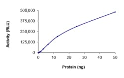 Sino Biological&nbsp;Recombinant Human STRN & ALK Protein (GST Tag), Active