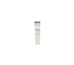 Zymo Research Corporation 500x Concentrated Arabinose Inducer (1 ml)