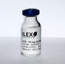 ILEX LIFE SCIENCES LLC Ilex Life Sciences Human Chorionic Gonadotropin