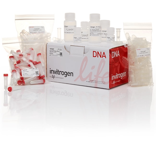 Invitrogen PureLink Microbiome DNA Purification Kit 1 kitLife Sciences