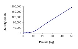 Sino Biological&nbsp;Recombinant Human AXL Protein (His Tag), Active