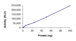 Sino Biological&nbsp;Recombinant Human ADCK3 Protein (GST Tag), Active