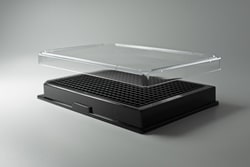 InSphero Akura 384 Spheroid Microplate Polystyrene membrane | Buy Online | InSphero | Fisher Scientific