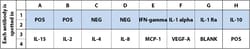 Raybiotech Inc C-Series Equine (Horse) Cytokine Array C1 Kit.