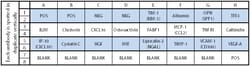 Raybiotech Inc C-Series Human Acute Kidney Injury Antibody Array 1 Kit.