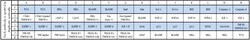 Raybiotech Inc C-Series Human Apoptosis Antibody Array 1 Kit.