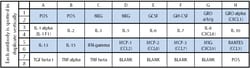 Raybiotech Inc C-Series Human Cytokine Antibody Array 1 Kit.