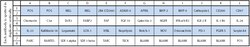 Raybiotech Inc C-Series Human Receptor Antibody Array 1 Kit.