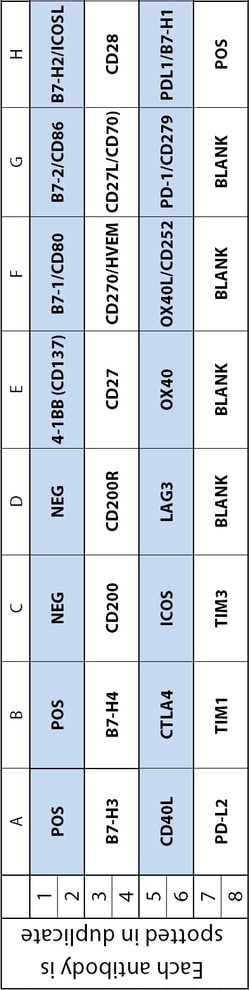 Raybiotech Inc C-Series Human Immune Checkpoint Antibody Array 1 Kit.