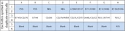 Raybiotech Inc C-Series Human Immune Checkpoint Antibody Array 3 Kit.