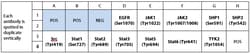 Raybiotech Inc C-Series Human JAK/STAT Pathway Phosphorylation Array 1