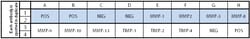 Raybiotech Inc C-Series Human Matrix Metalloproteinase Antibody Array 1 Kit.