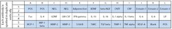 Raybiotech Inc C-Series Human Neuro Discovery Array C2 Kit., Quantity: