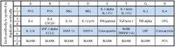 Raybiotech Inc C-Series Human Periodontal Disease Antibody Array 1 Kit.