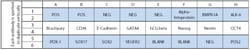 Raybiotech Inc C-Series Human Stem Cell Array 1 Kit., Quantity: Each of