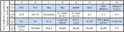 Raybiotech Inc C-Series Mouse Atherosclerosis Antibody Array 1 Kit.