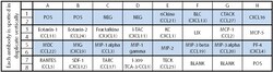 Raybiotech Inc&nbsp;C-Series Mouse Chemokine Antibody Array 1 Kit.