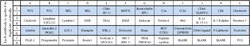 Raybiotech Inc C-Series Mouse Cytokine Antibody Array 7 Kit.
