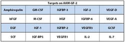 Raybiotech Inc C-Series Mouse Growth Factor Antibody Array 2 Kit., Quantity: