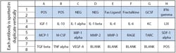Raybiotech Inc C-Series Mouse Neuro Discovery Array C1 Kit., Quantity: