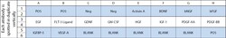 Raybiotech Inc C-Series Rat Growth Factor Array 1 Kit., Quantity: Each