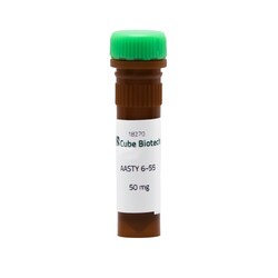CUBE BIOTECH Nanodisc Copolymer AASTY 6-55