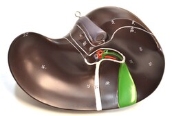 Eisco&trade;&nbsp;Torso Model without Head