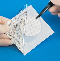 Cytiva GN Metricel Membrane Disc Filters 0.45 &mu;m | Buy Online | Cytiva | Fisher Scientific