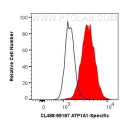 ATP1A1-Specific Rabbit, anti-Human, CoraLite Plus 488, Polyclonal, Proteintech:Antibodies:Primary