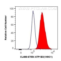 ATP1B3 Mouse, anti-Human, CoraLite Plus 488, Clone: 1H9C1, Proteintech 20 &mu;L | Buy Online | Proteintech | Fisher Scientific