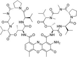 TOKU-E Actinomycin D ReadyMade Solution 10 x 1 mL | Buy Online | TOKU-E&trade; | Fisher Scientific