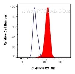 Alix Rabbit, anti-Human, CoraLite Plus 488, Polyclonal, Proteintech Quantity: