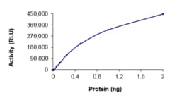 Sino Biological&nbsp;Recombinant Human BRAF/B-Raf Protein (GST Tag), Active
