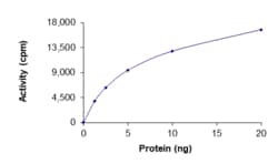 Sino Biological&nbsp;Recombinant Human BRAF/B-Raf Protein (K601E, GST Tag), Active