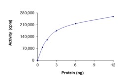 Sino Biological&nbsp;Recombinant Human BRAF/B-Raf Protein (V600K, GST Tag), Active