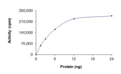 Sino Biological&nbsp;Recombinant Human BRAF/B-Raf Protein (G464V, GST Tag), Active