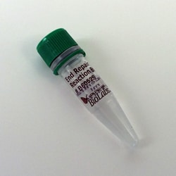 New England Biolabs, Inc. NEBNext End Repair Reaction Buffer – 2 ml, Quantity: