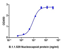 Genscript Corporation SARS-CoV-2 Nucleocapsid protein (G204R, R203K), His