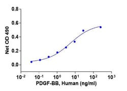 Genscript Corporation&nbsp;PDGF-BB, Human