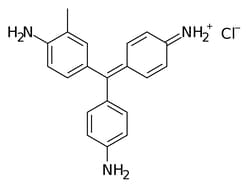 Electron Microscopy Sciences Basic Fuchsin 0.25% Aqueous 500 ML, Quantity: