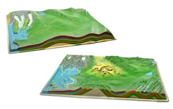 Eisco Labs&nbsp;Cross-Sectional Comparative Terrain Landform Model