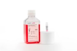 Cellular Engineering Technologies&nbsp;Cryopreserved vial of HepG2 hepatocellular carcinoma cells (500,000 cells) and HepG2 Hepatocellular Carcinoma Expansion Media (450mL)