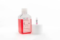 Cellular Engineering Technologies Cryopreserved vial of human amniotic-derived
