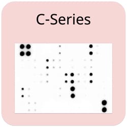 Raybiotech Inc C-Series Human T Cell Respose Array 1 Kit., Quantity: Each